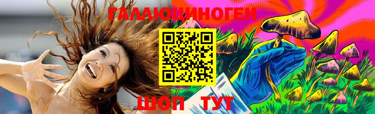 Галлюциногенные грибы Psilocybe Волжский
